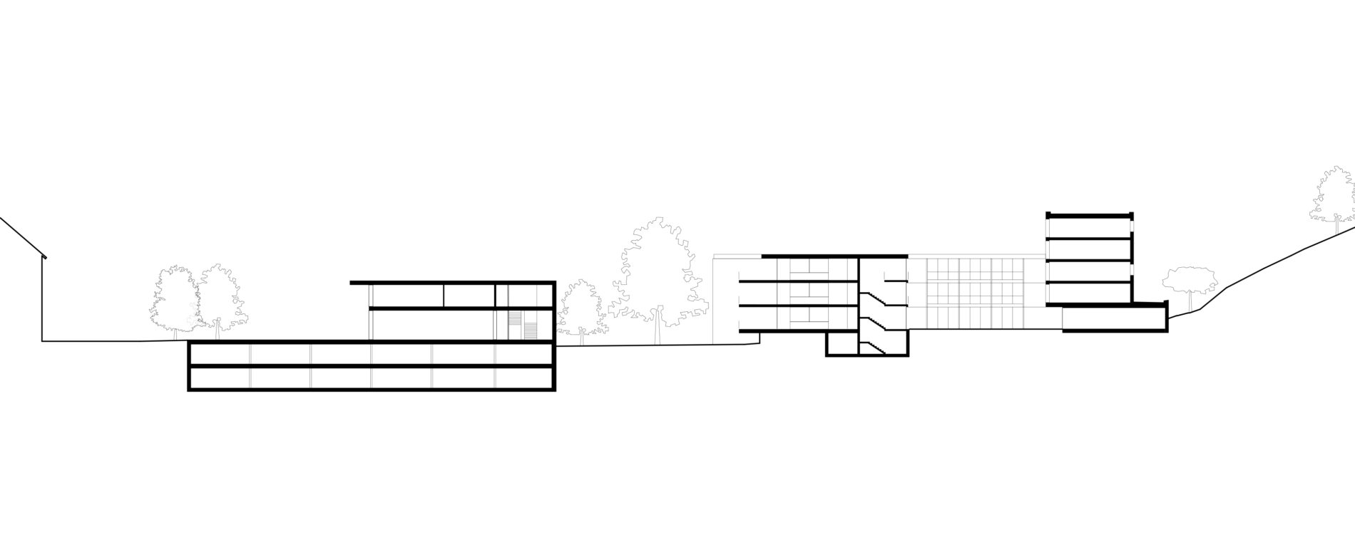 extension ems | steg | coupe